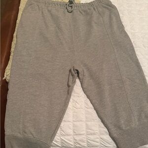 Fee People jogger Large NWOT waist 17 
Inseam 12 gray in color